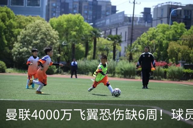 曼联4000万飞翼恐伤缺6周！球员身体对抗弱，卡里克或再签新前锋